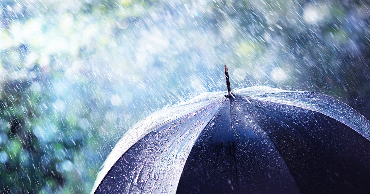 microplastics in rainwater