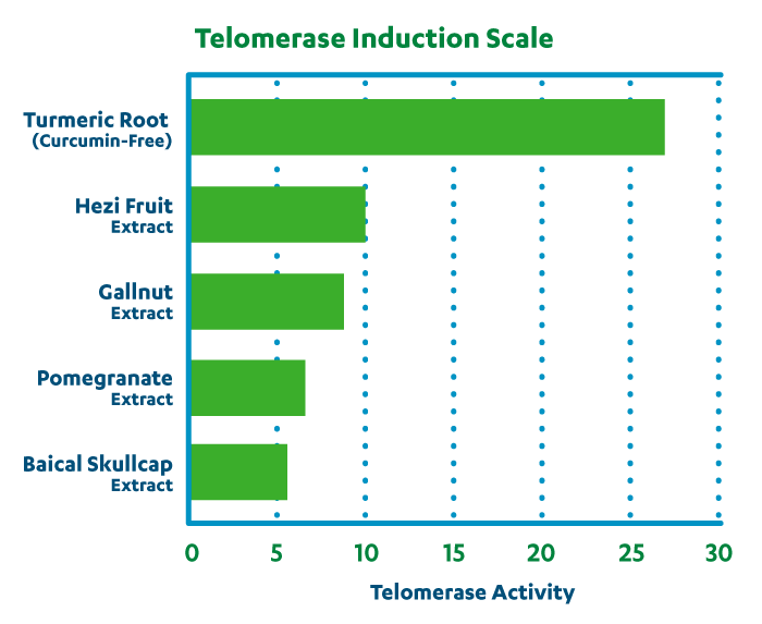 Graph of telomerase induction scale with test results for each plant extract